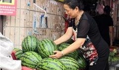 辽宁最新吃瓜新闻,揭秘某明星辽宁豪宅风波