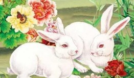 兔仙魅惑吃瓜,一场奇幻仙界的甜蜜诱惑