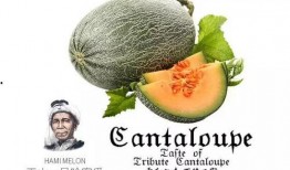 吃瓜2号,揭秘娱乐圈背后的秘密与真相