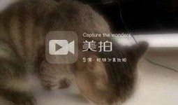 吃瓜的喵喵,揭秘娱乐圈那些事儿