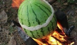 烧了可以吃瓜吗,揭秘烧了也能吃的神奇瓜果