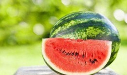 吃瓜湘潭,一场关于吃瓜的美食盛宴