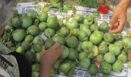 宠儿吃瓜,揭秘娱乐圈幕后故事