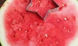 吃瓜不吐哈密,揭秘哈密瓜背后的故事