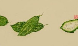 躲在池塘吃瓜,揭秘夏日隐秘美食之旅