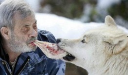 吃瓜狼yico,网络红人的崛起与影响力