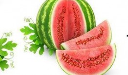 星座吃瓜君,揭秘十二星座的趣味食趣