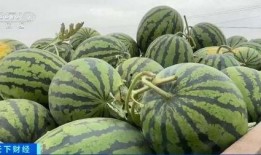 曹县吃瓜的,揭秘网络热点的背后故事