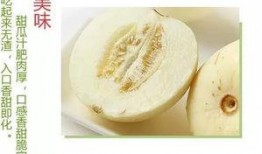 沭阳南湖吃瓜,尽享清凉夏日时光