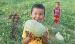 小孩打架吃瓜群众,一场校园“吃瓜”事件的反思