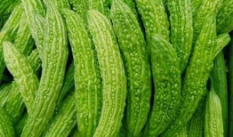 吃瓜大便多,揭秘大便增多背后的秘密