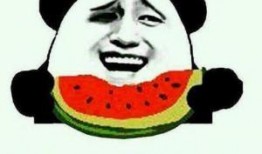 吃瓜群众真够多的,揭秘网络围观现象背后的真相