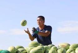 吃瓜集和地,揭秘娱乐圈背后的秘密与土地变迁