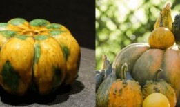 穿越到古代吃瓜系统,解锁吃瓜系统，笑看风云变幻