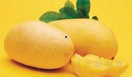 芒果吃瓜社跳舞,舞动青春，共赴欢乐盛宴