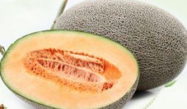 安提瓜是哈密瓜吗怎么吃,安提瓜哈密瓜的独特风味与多样食用方法