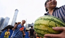 朝阳吃瓜大妈,揭秘社区生活百态