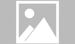 荆州各种吃瓜事件视频,一幕幕引人入胜的街头风云录