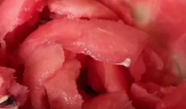 傻子吃瓜小视频,傻子吃瓜小视频爆笑来袭