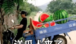 吃瓜 文案短句,揭秘娱乐圈幕后真相