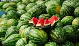 吃瓜网708,带你走进神秘的网络世界