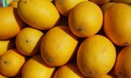 河套蜜瓜怎么吃,尽享夏日甜蜜时光