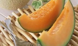 吃哈密瓜的学长,探寻甜蜜滋味背后的故事