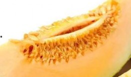 早孕可以吃蜜瓜,早孕期间蜜瓜的适宜食用与营养益处