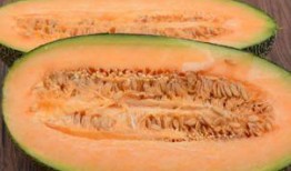 吃哈密瓜翻译,甜蜜滋味，尽在其中