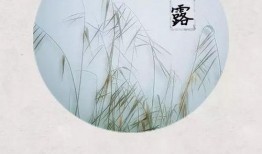 蒹葭吃瓜,揭秘娱乐圈那些不为人知的幕后故事