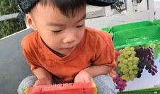4岁孩子吃瓜