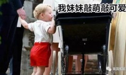 吃瓜哥哥小亮,揭秘娱乐圈幕后故事