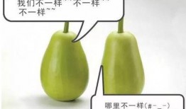 安儿吃瓜,揭秘娱乐圈那些不为人知的幕后故事