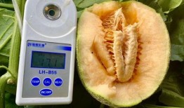 各种最全吃瓜合集,盘点娱乐圈、网红圈、社会热点，一网打尽！