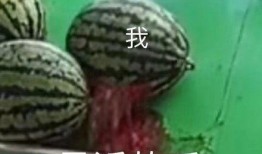 别吃自己的瓜,揭秘人际关系的微妙平衡