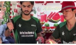 印度大妈吃瓜视频大全,趣味横生的日常生活瞬间