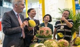 最高荣誉吃瓜群众,揭秘娱乐圈风云