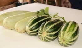 荆门最新吃瓜,揭秘背后惊人真相！