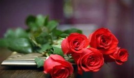 91黑色玫瑰吃瓜,揭秘网络吃瓜背后的真相与争议