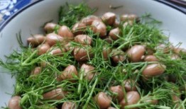 夏季吃瓜肠胃疼,吃瓜需谨慎，预防肠胃疼痛攻略