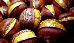 吃板栗瓜会长痘吗,揭秘食用板栗瓜对皮肤的影响