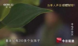 瓜瓜吃瓜口语交际