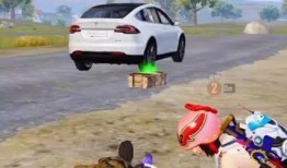 和平精英吃瓜绿洲,绿洲吃瓜，揭秘神秘事件背后的真相