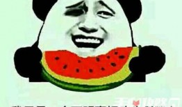 瓜梗怎么吃,探索创意瓜梗食用新方法