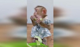 搞笑吃瓜恶搞图,笑料百出！搞笑吃瓜恶搞图大盘点