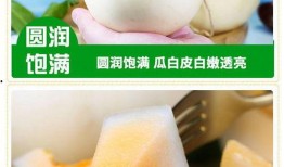 怀孕可以吃白皮瓜吗,白皮瓜的适宜食用与注意事项