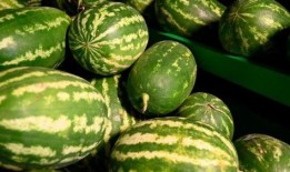 明斯克吃瓜事件,一场引发国际关注的误会风云