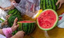 广东湛江吃瓜视频,一场视觉与味蕾的双重盛宴