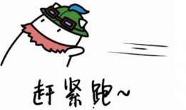 吃瓜提莫对象,揭秘网红情侣的甜蜜日常