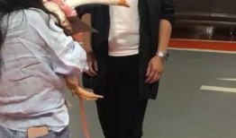 保剑锋吃瓜,揭秘娱乐圈幕后真相